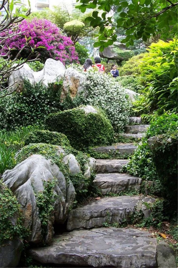 下面以廣州公園景石與植物配置的情況,希望可以為景觀設計師提供一些