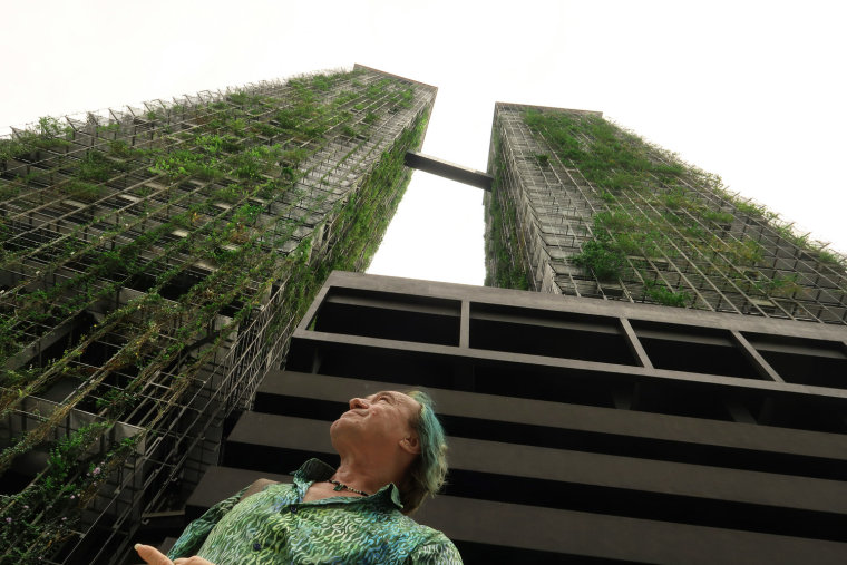 建筑一体绿化资料下载-高层建筑外墙垂直绿化保温系统研究