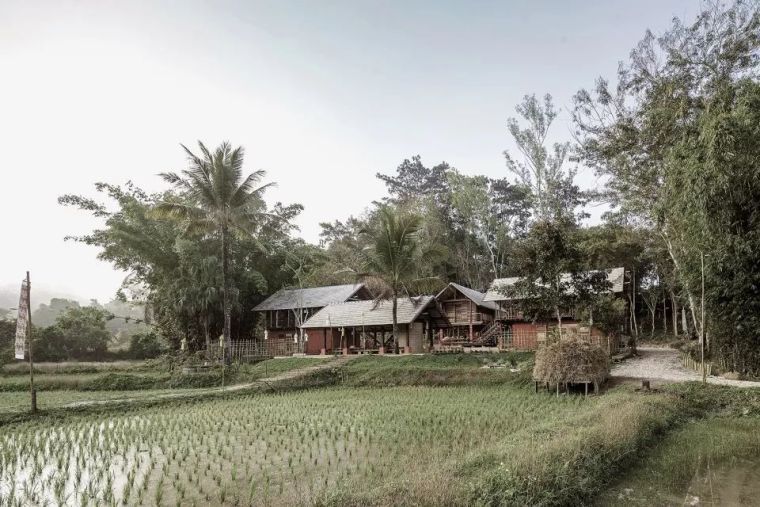 农场旅游案例资料下载-稻田里的农场民宿：旧原木＋传统工艺，打造最有质感的生态民宿
