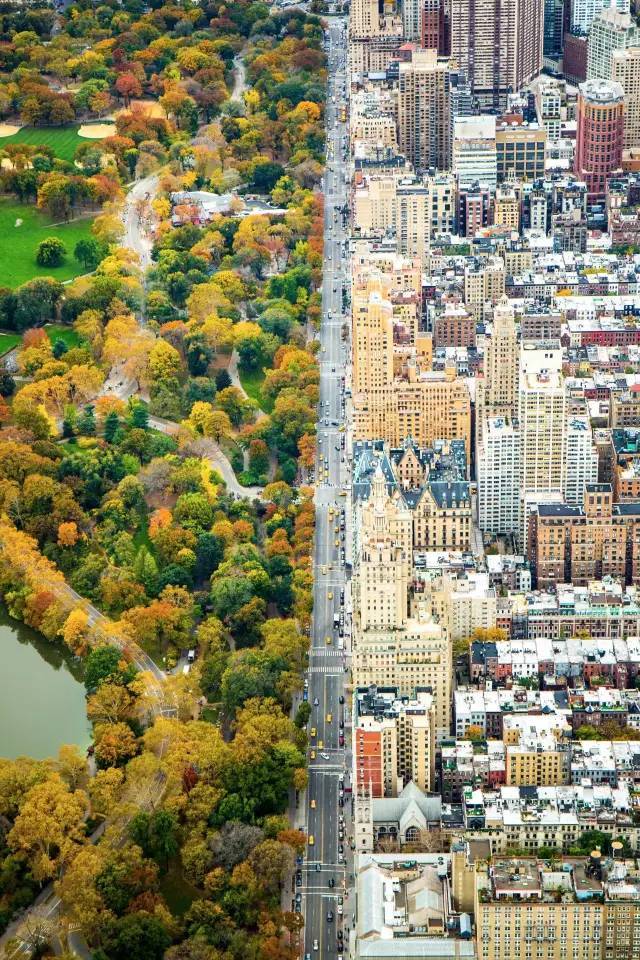 中央公园道路规划资料下载-从高空看纽约中央公园，才知道美国规划多有远见！