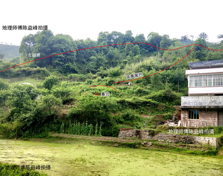 陈益峰:寅葬卯发,廖家凤形墓-建筑风水学-筑龙建筑设计论坛