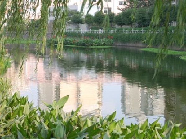 生态修复景观小区资料下载-河水生态修复及景观工程方案