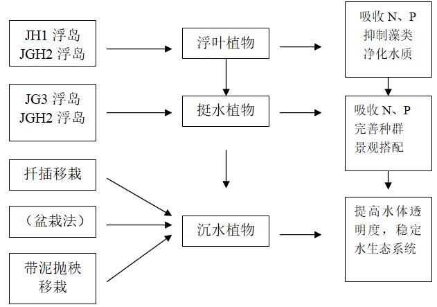 水生植物布置路线图