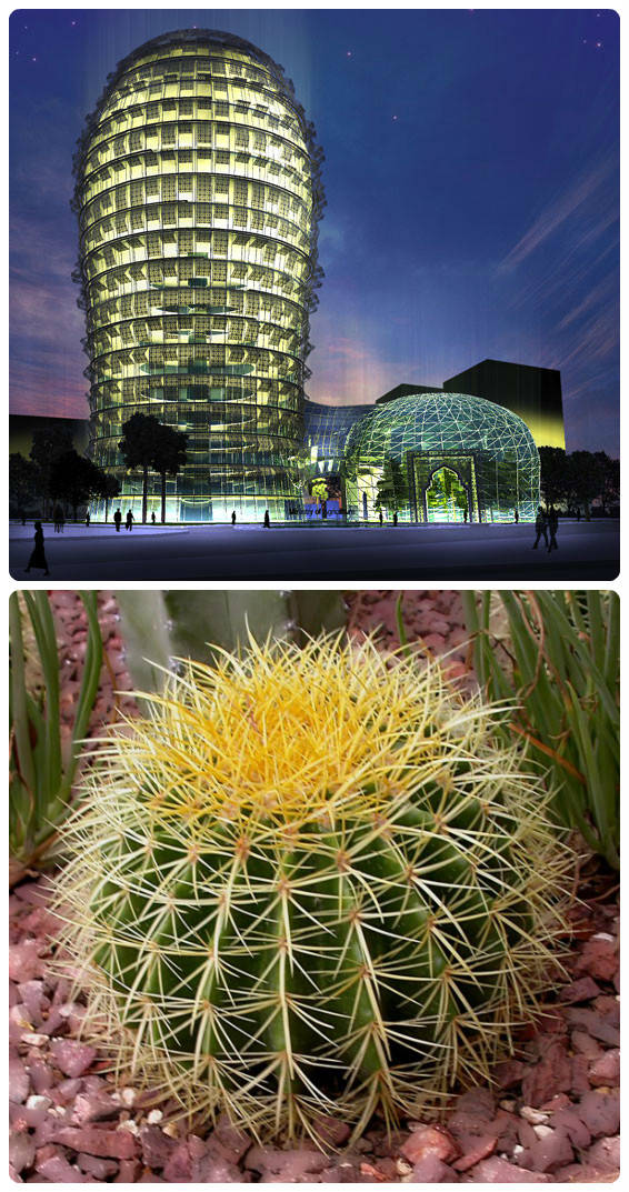 [分享]建筑设计美学|盘点全球十大仿生建筑