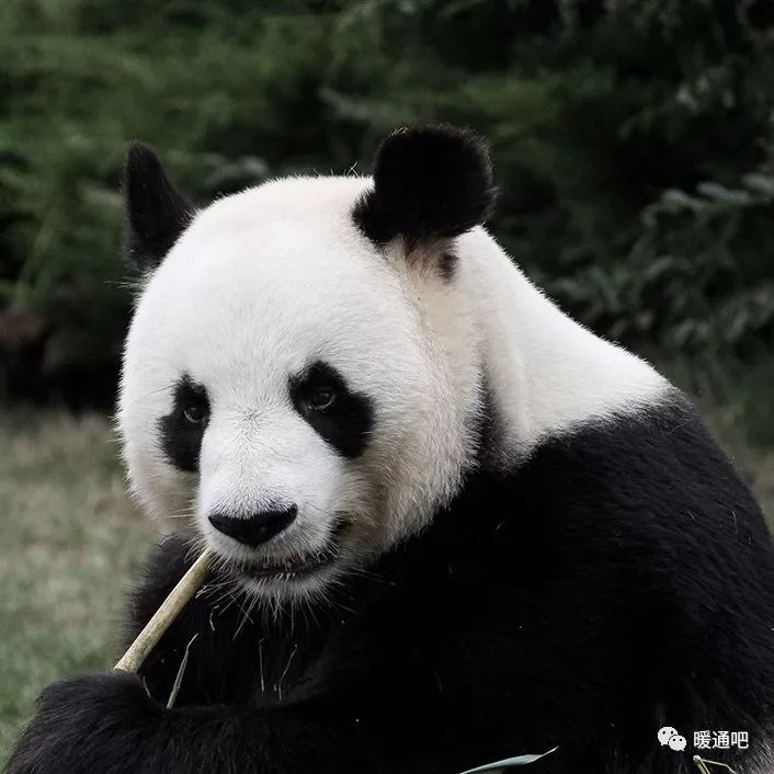 辐射供热供冷技术资料下载-原来中国三大机场都采用了地面调温(FCH)技术