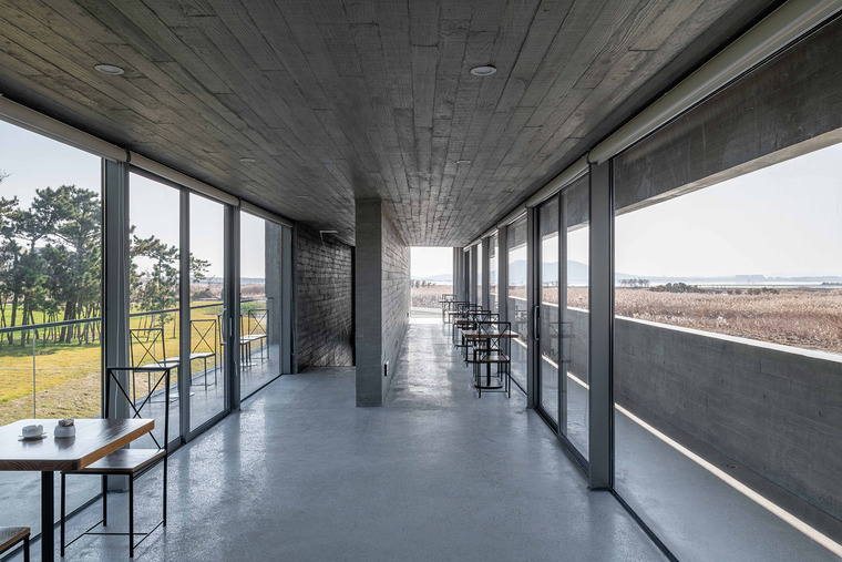 山东天鹅湖湿地公园景观廊及观鸟塔-迹·建筑事务所(tao)-公园案例