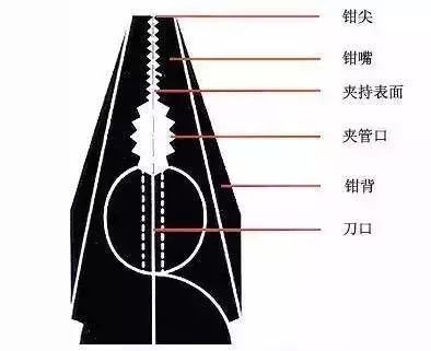 钢丝钳铡口图解图片