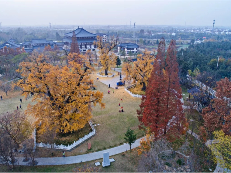 广州文化公园修建性资料下载-南京惠济寺遗址文化公园