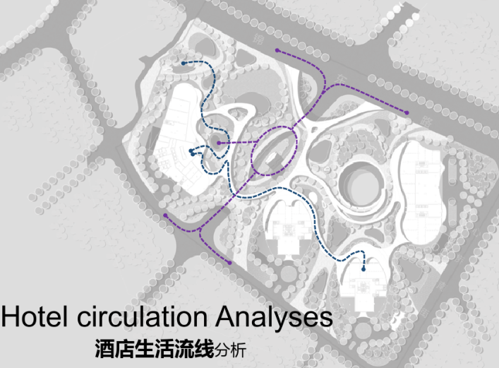 [四川]成都东大街D10项目建筑方案设计文本（PDF，182页）-酒店生活流线分析