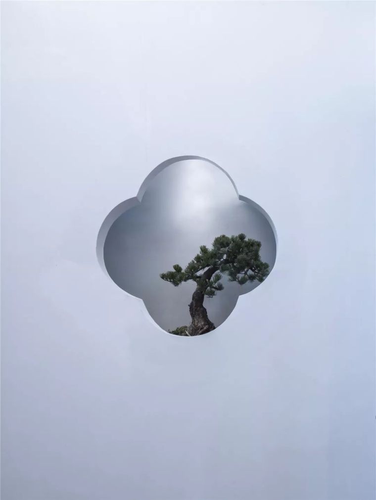 松院庭院里的海棠漏窗 摄影:邱日培