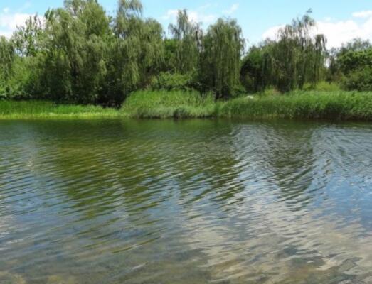 河道综合整治工程量清单资料下载-河道治理技术+海绵城市介绍讲义（56页，图文丰富）