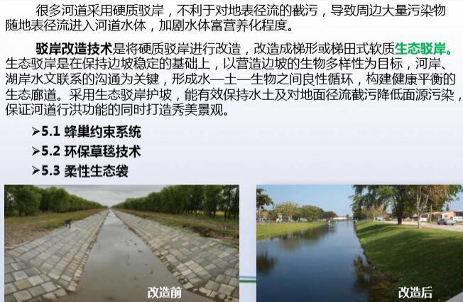 河道治理技术+海绵城市介绍讲义（56页，图文丰富）-河道生态驳岸改造