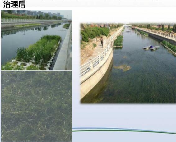 河道治理技术+海绵城市介绍讲义（56页，图文丰富）-马草河黑臭河道治理项目