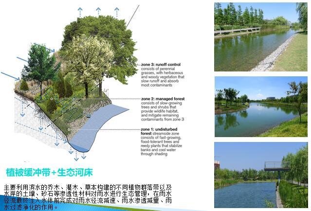 海绵城市概念内涵技术与未来（130页，图文丰富）-基于LID的水系河道