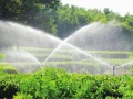 农田高效节水灌溉实施方案（90页，内容丰富）