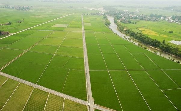 土地整理项目竣工总结资料下载-土地整理项目监理月报