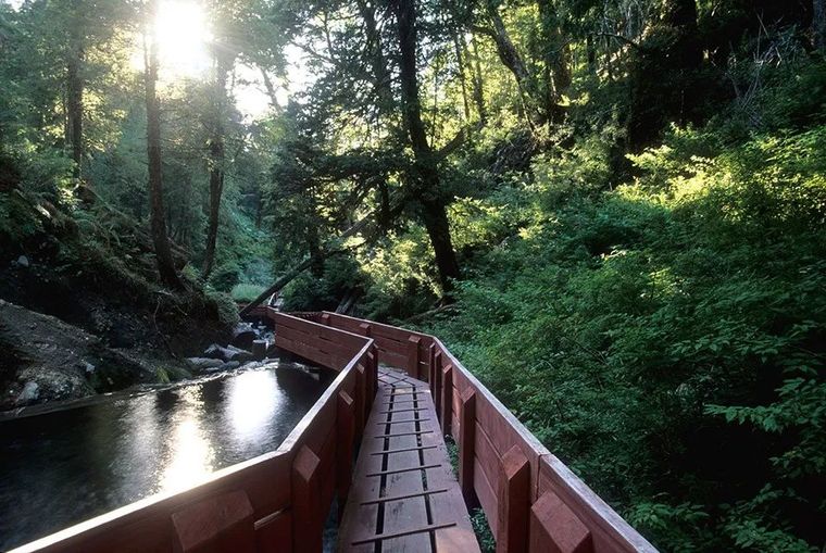 栈道-景观设计-筑龙园林景观论坛