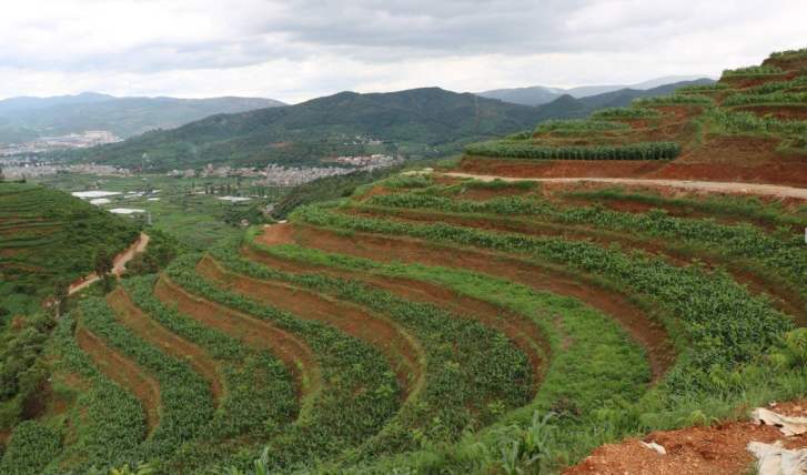 土地整治工程监理规范资料下载-土地整治项目监理工作报告