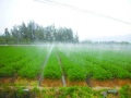 农业节水灌溉实施方案（51页，清楚明了）