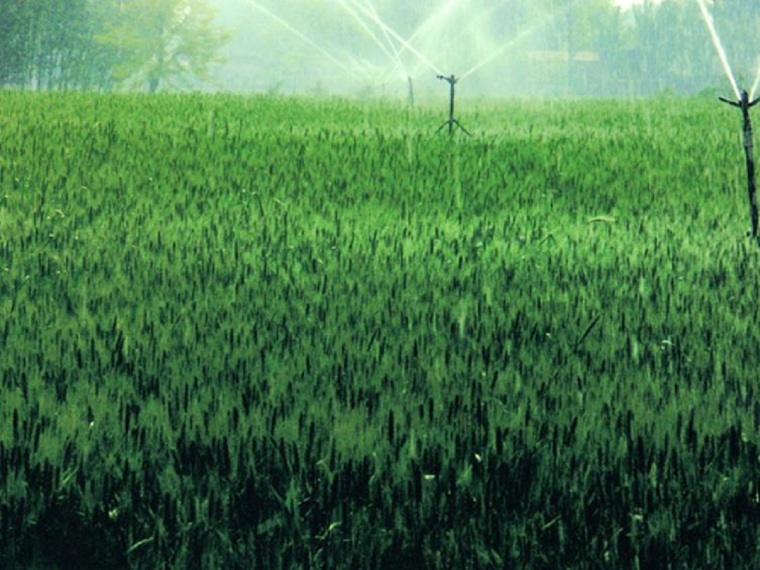 草坪喷灌系统设计案例资料下载-喷灌与滴灌系统（35页，清楚明了）