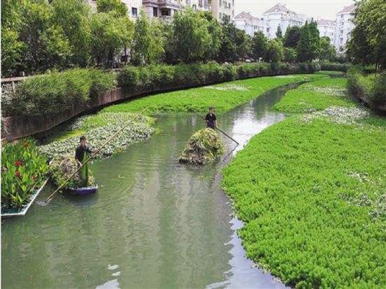 河道植物平面图资料下载-河道生态治理工程重难点