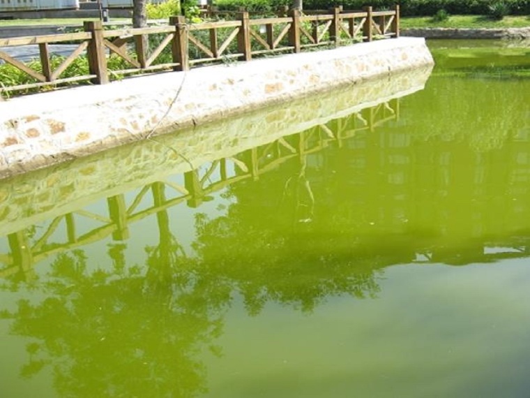 生态景观河道治理资料下载-污染河道治理及水体生态修复