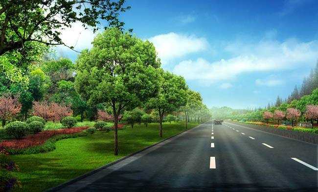 道路工程质量月资料下载-新建道路工程质量创优计划（63页）
