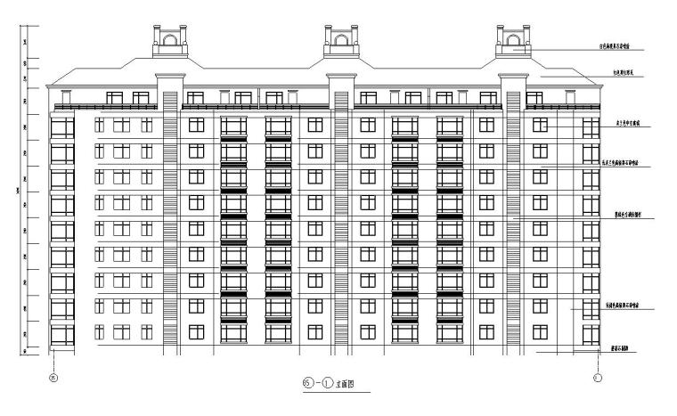 9层阁楼3单元每单元2户住宅楼设计图-立面图一