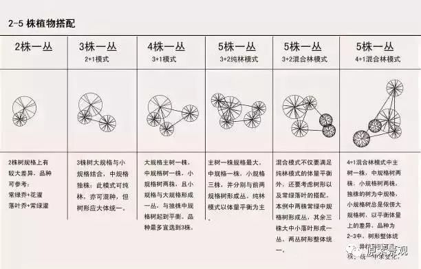 植物组团设计图解图片