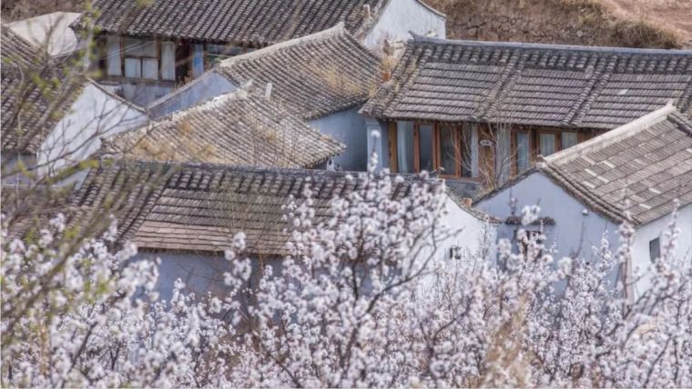 传统北方中式建筑资料下载-民宿设计丨中式建筑