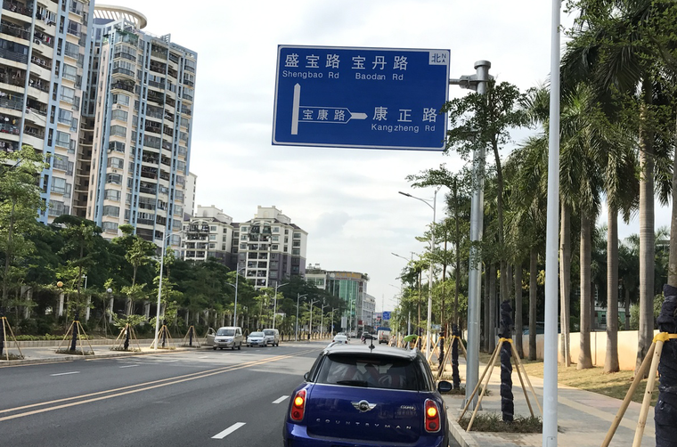 道路绿化种植cad资料下载-道路绿化做到这五点，不仅实用还美观！