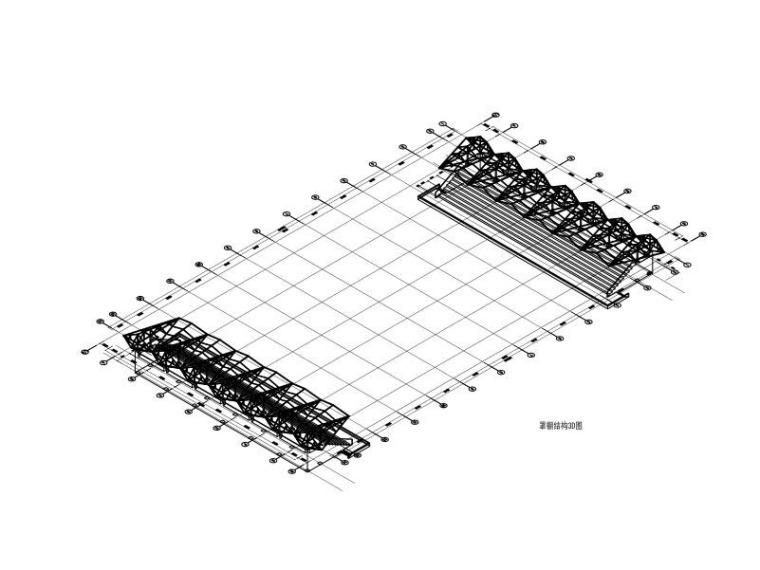 室外游泳跳水场建筑结构施工图（2014）-罩棚结构3D图