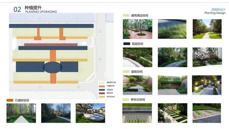 [浙江]欧陆风格高档居住区景观深化方案-种植提升