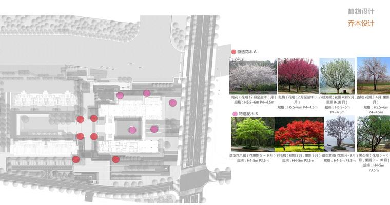 [上海]中式风格高档住宅展示区景观方案-植物设计