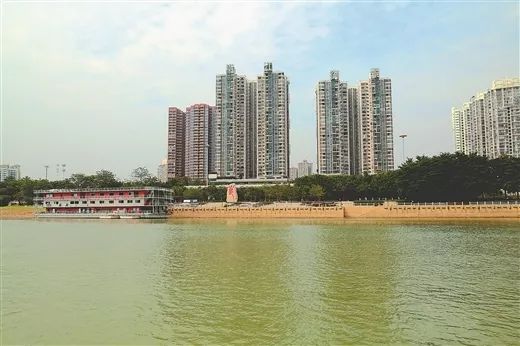每天早晚,南宁市邕江江南区福建园街道段河长乔李波都会沿着责任河段