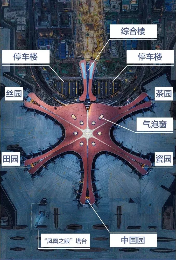 再来看看机场的外观,因为采用了五指型布局,就像一朵五瓣花,又被中国