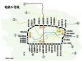 正在进行时：郑州地铁在建十一条线路