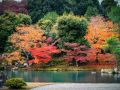 京阪红叶狩 | 日本庭园 · 景观 · 室内考察