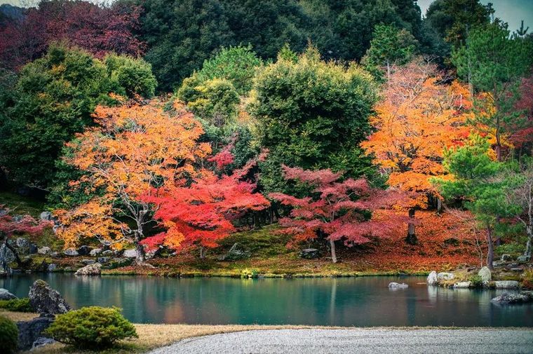 日本最美的庭园资料下载-京阪红叶狩 | 日本庭园 · 景观 · 室内考察