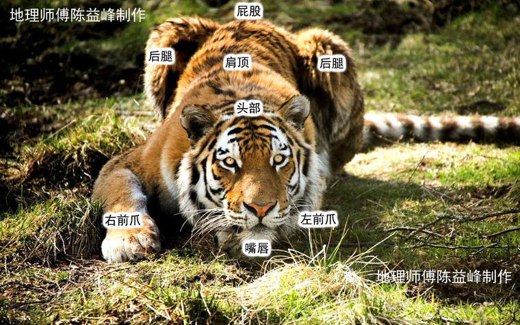 [资料]陈益峰:猛虎跳涧,山间大地