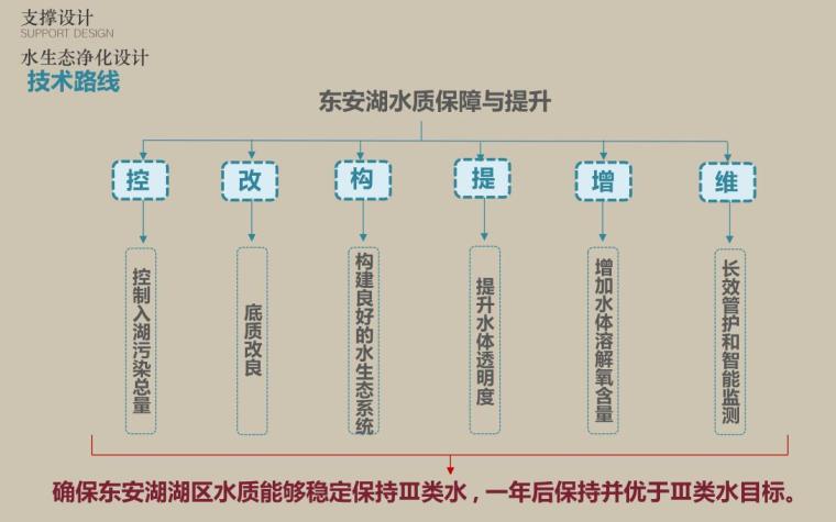 [四川]东安湖滨水公园景观方案设计-水生态净化设计