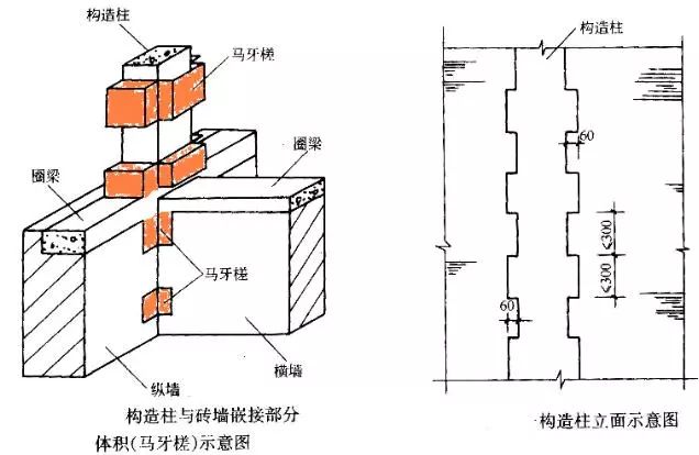 按圖示斷面尺寸乘以梁長以m計算,梁長按下列規定確定: 梁與柱連接時