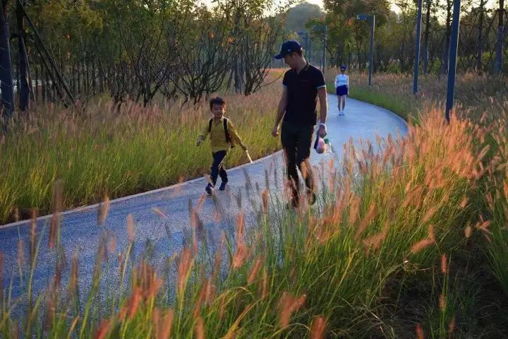 田园景观植物配置资料下载-亲子农业丨植物景观设计要点