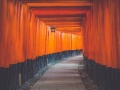 旅行招募 | 红叶季带你探索日本建筑的文化