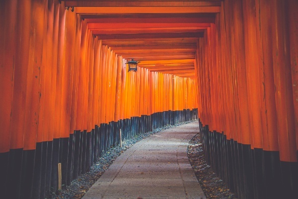 水潭设计案例资料下载-旅行招募 | 红叶季带你探索日本建筑的文化