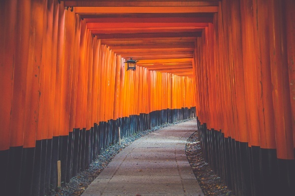 日本建筑作品资料下载-旅行招募 | 红叶季带你探索日本建筑的文化