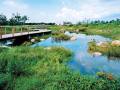 湿地公园景区建设项目安全监理方案
