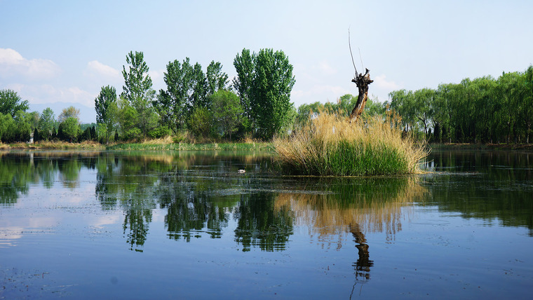 7天最热丨景观周精选案例（10月21日~27日)-01-participatory-design-a-natural-protected-landscape-china-by-chinese-academy-of-forestry