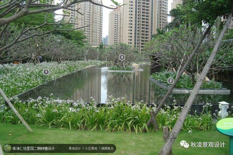 植物配置图，用实际案例来说话_6