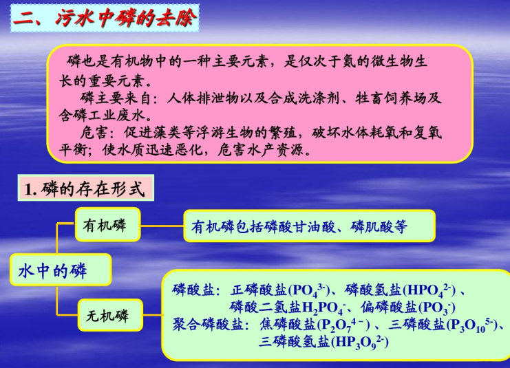 城市污水处理系统（185页）-污水中磷的去除